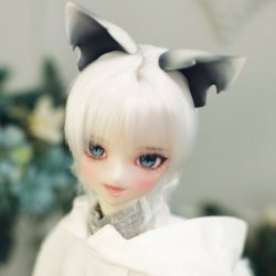 Shiro – Manga Series