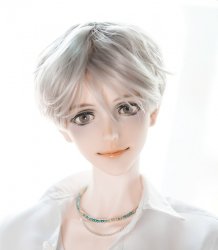 Class60 [DOLCE] Head Only