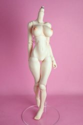 Type-C Body (Head not included) A Set Normal Skin ver. (Whitey)