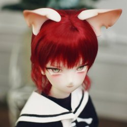 Honoo – Manga Series